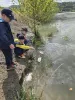 ALEJJ