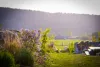 Printemps à Jumièges