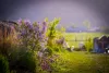 Printemps à Jumièges