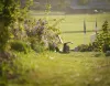 Printemps à Jumièges