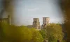 Printemps à Jumièges
