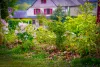 Printemps à Jumièges