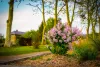 Printemps à Jumièges