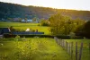 Printemps à Jumièges